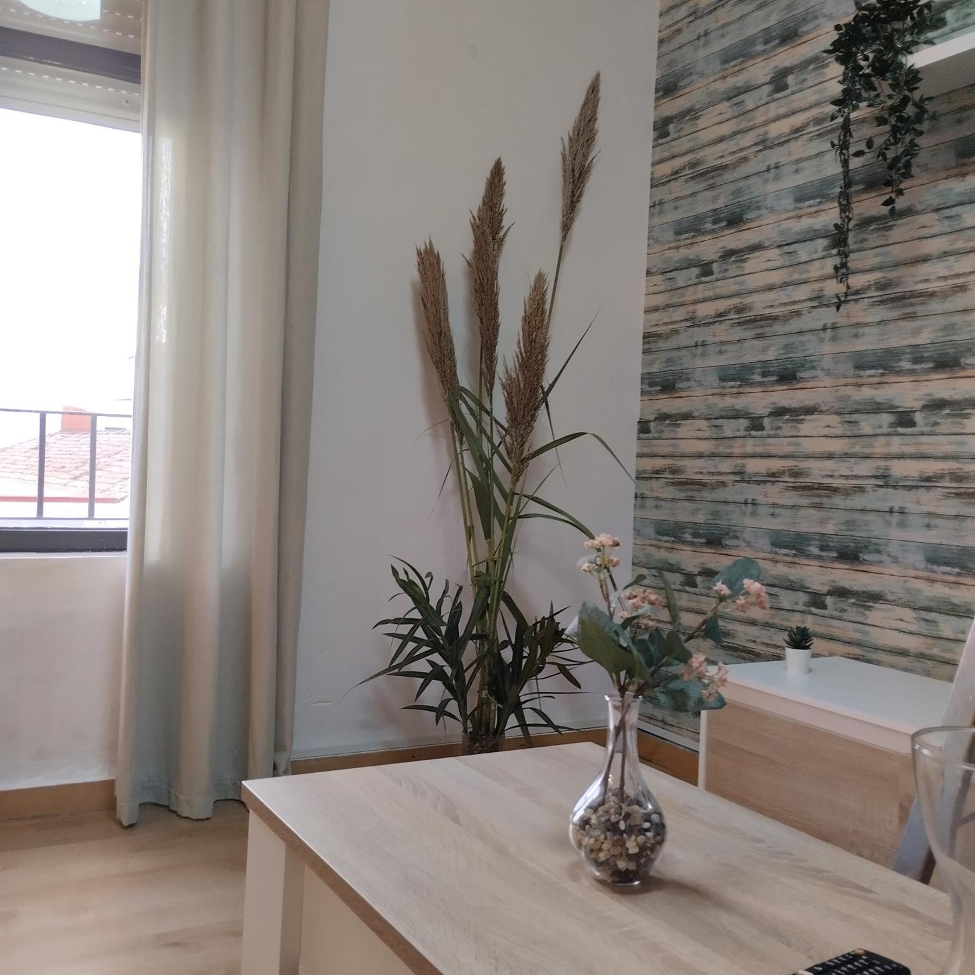 Apartamento Esperanza De La Yedra เฮเรซ เด ลาฟรอนเตรา ภายนอก รูปภาพ